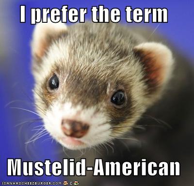 I prefer the term