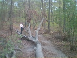 646M0015.jpg