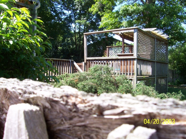 What you're looking at here is the bar over the pool.  It's powered, but it's not a wet-bar.  At least, not yet, although that could be a fun project.