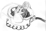 sleepingferret
