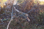 100_0606.JPG
