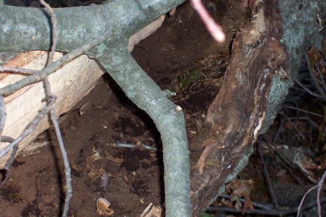 100_0608.JPG