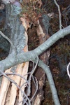 100_0609.JPG