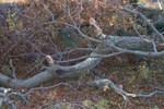100_0610.JPG