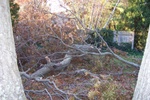 100_0611.JPG