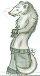 A ferret with PANTS by Janz of www.meyow.net