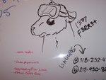 Whiteboard Play by Naryu