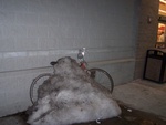 Okay, so it was a poor decision of times and places to leave a bicycle.