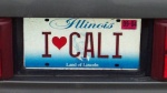 This is a great plate I saw while in chicago with Plaguefox.  Yes, the heart was really on the plate.