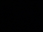 DSC00218.JPG