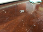 100_0413.JPG