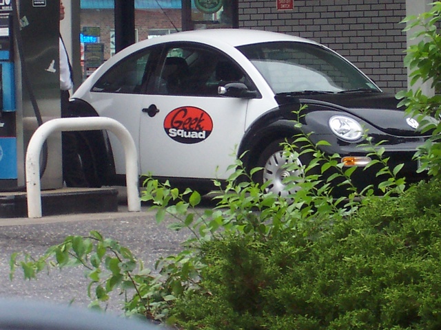 100_0319.JPG