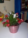 100_1576.JPG